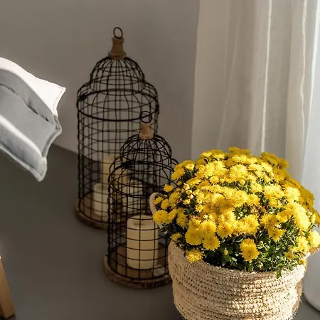 ホテル ア ミコノス Mykonos Town